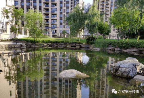 六安碧桂园最新爆料信息,揭秘全新规划与亮点抢先看