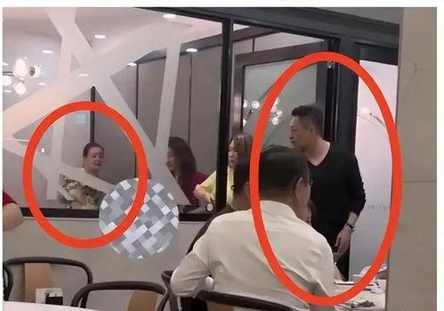 张莹莹最新爆料视频大全,揭秘幕后真相与精彩瞬间