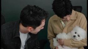 丞磊娱乐爆料是真的吗知乎,知乎热议事件真相揭晓”  第3张