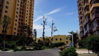 威海房产最新爆料,揭秘最新热门项目与价格走势  第2张